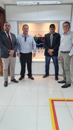 Vereadores se reunem em Brasília em prol da Br 242